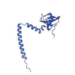 10709_6y6x_LM_v1-1
Tetracenomycin X bound to the human ribosome