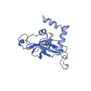 10709_6y6x_LN_v1-1
Tetracenomycin X bound to the human ribosome