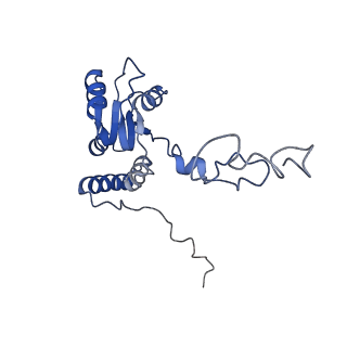 10709_6y6x_LQ_v1-1
Tetracenomycin X bound to the human ribosome