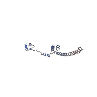 10709_6y6x_LR_v1-1
Tetracenomycin X bound to the human ribosome