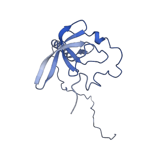 10709_6y6x_LT_v1-1
Tetracenomycin X bound to the human ribosome