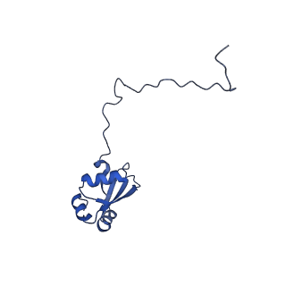 10709_6y6x_LX_v1-1
Tetracenomycin X bound to the human ribosome