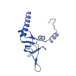 10709_6y6x_LY_v1-1
Tetracenomycin X bound to the human ribosome