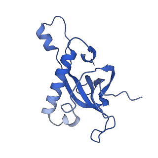 10709_6y6x_LZ_v1-1
Tetracenomycin X bound to the human ribosome