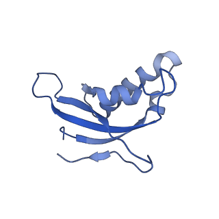 10709_6y6x_Ld_v2-0
Tetracenomycin X bound to the human ribosome