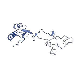10709_6y6x_Le_v1-1
Tetracenomycin X bound to the human ribosome