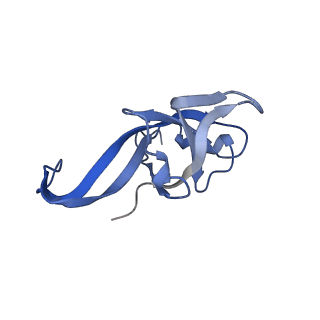 10709_6y6x_Lf_v1-1
Tetracenomycin X bound to the human ribosome