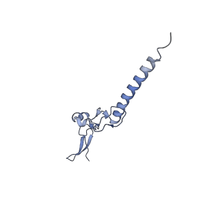 10709_6y6x_Lg_v1-1
Tetracenomycin X bound to the human ribosome