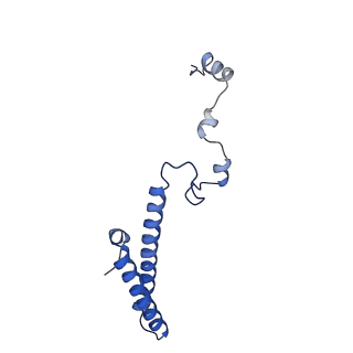 10709_6y6x_Lh_v1-1
Tetracenomycin X bound to the human ribosome