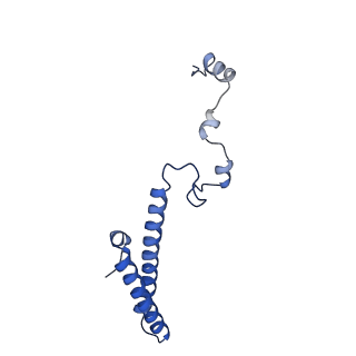 10709_6y6x_Lh_v2-0
Tetracenomycin X bound to the human ribosome
