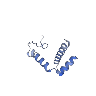 10709_6y6x_Li_v1-1
Tetracenomycin X bound to the human ribosome
