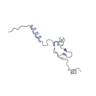 10709_6y6x_Lj_v1-1
Tetracenomycin X bound to the human ribosome