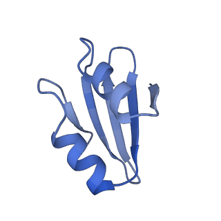 10709_6y6x_Lk_v1-1
Tetracenomycin X bound to the human ribosome