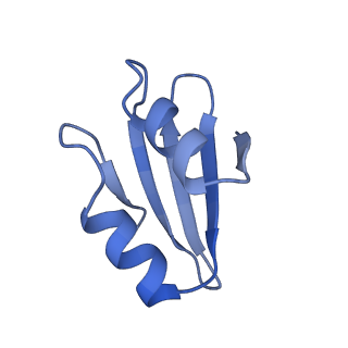 10709_6y6x_Lk_v2-0
Tetracenomycin X bound to the human ribosome
