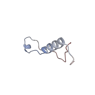 10709_6y6x_Ll_v1-1
Tetracenomycin X bound to the human ribosome