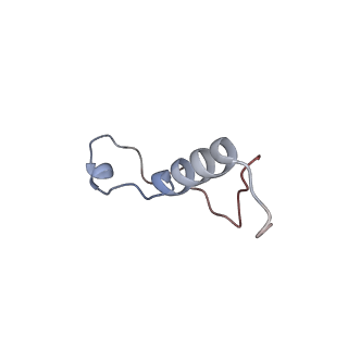 10709_6y6x_Ll_v2-0
Tetracenomycin X bound to the human ribosome