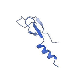 10709_6y6x_Lm_v1-1
Tetracenomycin X bound to the human ribosome