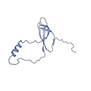 10709_6y6x_Lo_v1-1
Tetracenomycin X bound to the human ribosome