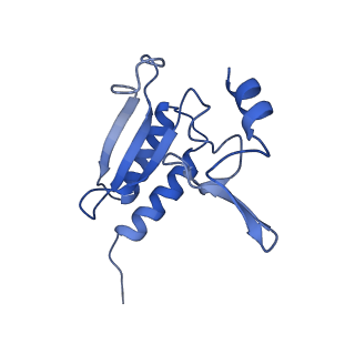 10709_6y6x_Lr_v1-1
Tetracenomycin X bound to the human ribosome