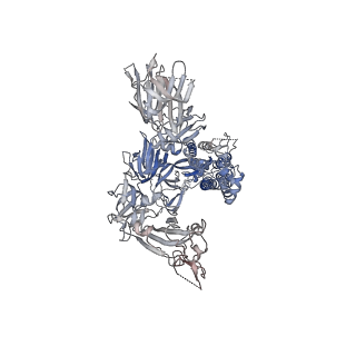 33205_7y6d_A_v1-0
Cryo-EM structure of SARS-CoV-2 Delta variant spike proteins on intact virions: 3 Closed RBD