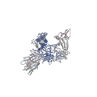 33205_7y6d_B_v1-0
Cryo-EM structure of SARS-CoV-2 Delta variant spike proteins on intact virions: 3 Closed RBD