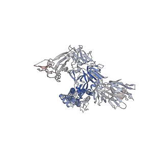 33205_7y6d_C_v1-0
Cryo-EM structure of SARS-CoV-2 Delta variant spike proteins on intact virions: 3 Closed RBD