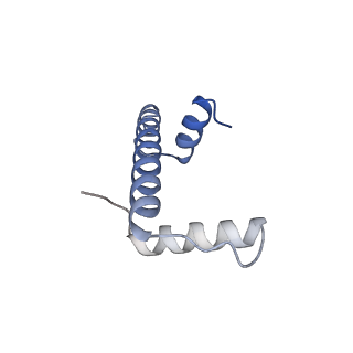 33630_7y60_A_v1-1
Cryo-EM structure of human CAF1LC bound right-handed Di-tetrasome