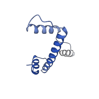 33630_7y60_C_v1-1
Cryo-EM structure of human CAF1LC bound right-handed Di-tetrasome