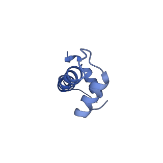 33630_7y60_D_v1-1
Cryo-EM structure of human CAF1LC bound right-handed Di-tetrasome