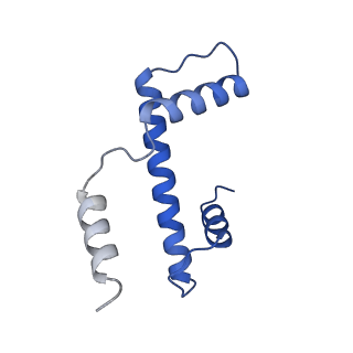 33630_7y60_E_v1-1
Cryo-EM structure of human CAF1LC bound right-handed Di-tetrasome