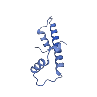 33630_7y60_F_v1-1
Cryo-EM structure of human CAF1LC bound right-handed Di-tetrasome