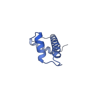 33630_7y60_G_v1-1
Cryo-EM structure of human CAF1LC bound right-handed Di-tetrasome