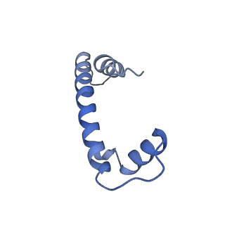 33630_7y60_H_v1-1
Cryo-EM structure of human CAF1LC bound right-handed Di-tetrasome