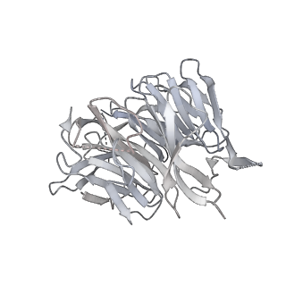 33630_7y60_L_v1-1
Cryo-EM structure of human CAF1LC bound right-handed Di-tetrasome