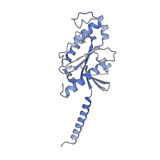 33633_7y64_A_v1-2
Cryo-EM structure of C5a-bound C5aR1 in complex with Gi protein
