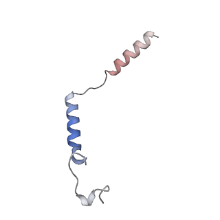33633_7y64_C_v1-2
Cryo-EM structure of C5a-bound C5aR1 in complex with Gi protein