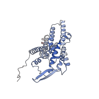 33633_7y64_D_v1-2
Cryo-EM structure of C5a-bound C5aR1 in complex with Gi protein