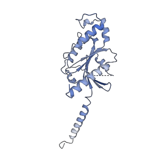 33634_7y65_A_v1-2
Cryo-EM structure of C5a peptide-bound C5aR1 in complex with Gi protein