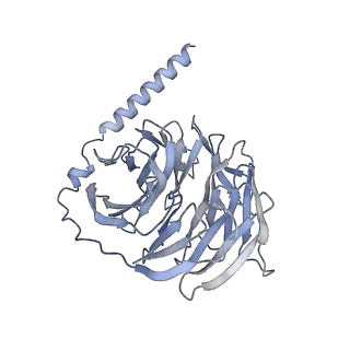33634_7y65_B_v1-2
Cryo-EM structure of C5a peptide-bound C5aR1 in complex with Gi protein