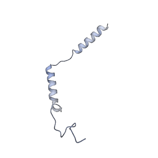 33634_7y65_C_v1-2
Cryo-EM structure of C5a peptide-bound C5aR1 in complex with Gi protein