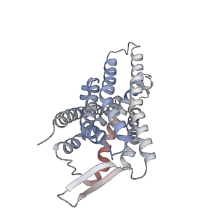 33634_7y65_D_v1-2
Cryo-EM structure of C5a peptide-bound C5aR1 in complex with Gi protein