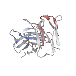 33634_7y65_S_v1-2
Cryo-EM structure of C5a peptide-bound C5aR1 in complex with Gi protein