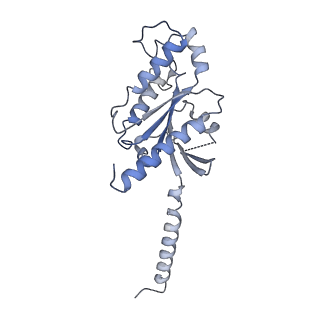 33635_7y66_A_v1-2
Cryo-EM structure of BM213-bound C5aR1 in complex with Gi protein