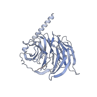 33635_7y66_B_v1-2
Cryo-EM structure of BM213-bound C5aR1 in complex with Gi protein