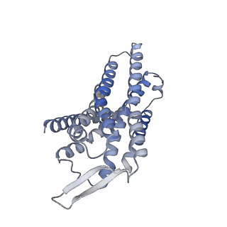 33635_7y66_D_v1-2
Cryo-EM structure of BM213-bound C5aR1 in complex with Gi protein