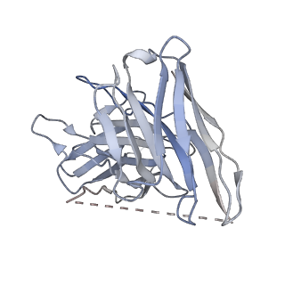 33635_7y66_S_v1-2
Cryo-EM structure of BM213-bound C5aR1 in complex with Gi protein
