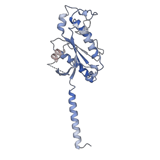 33636_7y67_A_v1-2
Cryo-EM structure of C089-bound C5aR1(I116A) mutant in complex with Gi protein