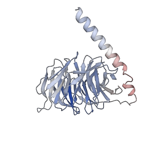 33636_7y67_B_v1-2
Cryo-EM structure of C089-bound C5aR1(I116A) mutant in complex with Gi protein