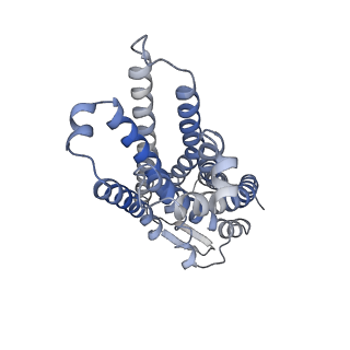 33636_7y67_D_v1-2
Cryo-EM structure of C089-bound C5aR1(I116A) mutant in complex with Gi protein