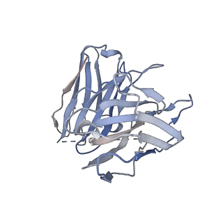 33636_7y67_S_v1-2
Cryo-EM structure of C089-bound C5aR1(I116A) mutant in complex with Gi protein